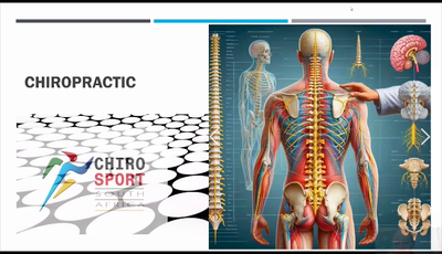 What does a chiropractic actually do?...