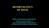 Biomechanics of the spine...