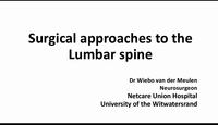 Surgical approaches to the lumbar spine...