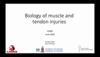 Biology of muscle and tendon injuries...