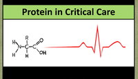 Protein in critical care...