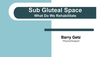 Deep Gluteal Syndrome and the ...