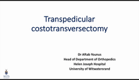 Transpedicular costotransverse...