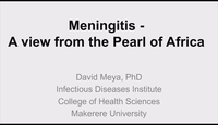 Meningitis - A view from the P...