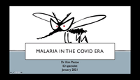 Malaria in the COVID Era...