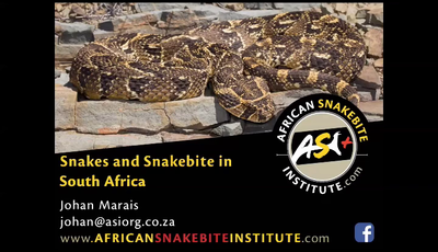 Snakes and Snakebites in South Africa...