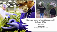 The Legal Status of Medicinal ...