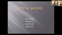 Distal Biceps Tendon...