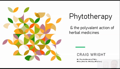 Phytotherapy and the polyvalent actions of herbal medicine...