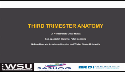 Third trimester anatomy...