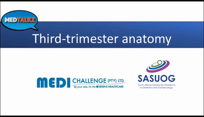Q and A - Third Trimester Anat...